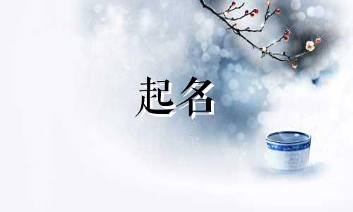 男孩子起名寓意有哪些