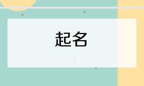 春节课程起名字有哪些