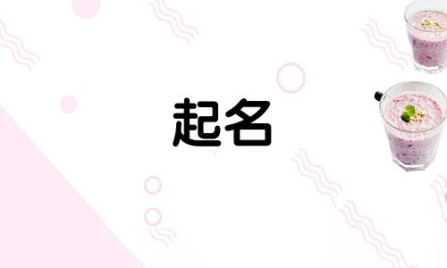 网文起名注意事项有哪些