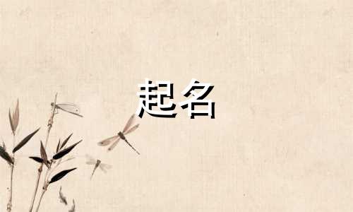 店铺起名新思维有哪些