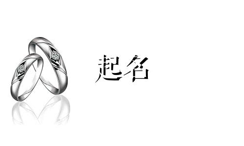 育儿起名有哪些字体好的