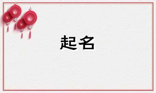 不会起名的花有哪些名字