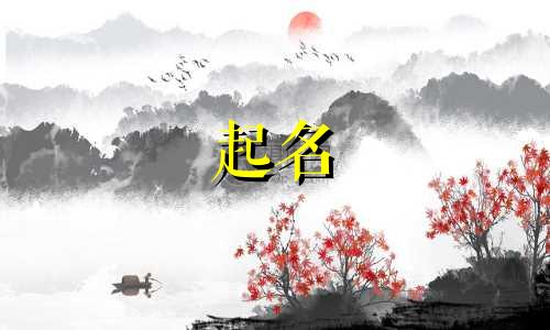 小程序起名建议有哪些内容