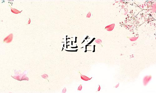 起名软件原理与方法有哪些