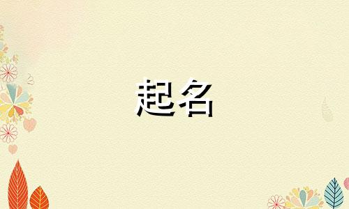 湖南小孩起名的地方有哪些