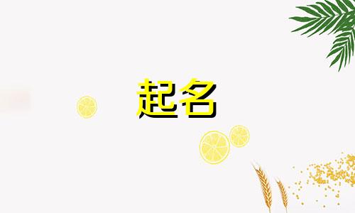 自媒体账号起名软件有哪些