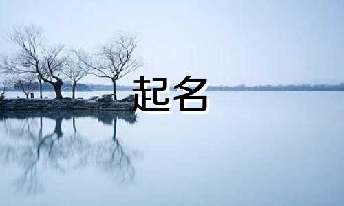 起名高大上的词语有哪些