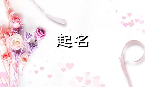 起名服务小程序有哪些名字