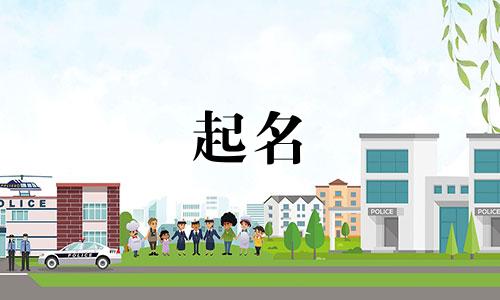 泳衣公司起名字有哪些