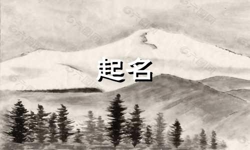 品牌起名目标人群有哪些