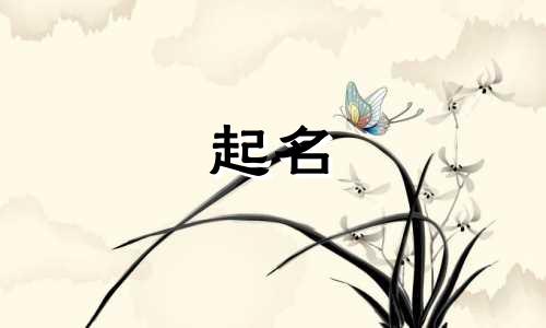 汉字起名的有哪些字母组成