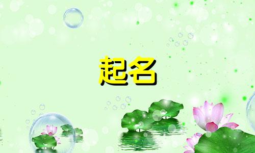 帮忙起名的话语有哪些呢