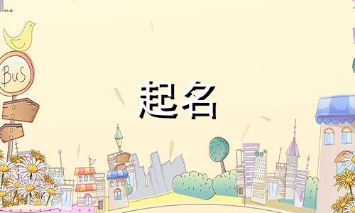 宠物起名书籍有哪些书