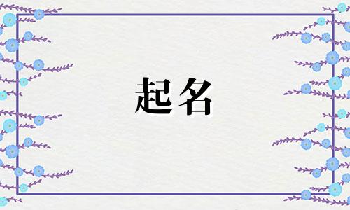 袁姓起名叠词有哪些名字