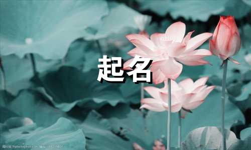 女宝宝起名适合用哪些字
