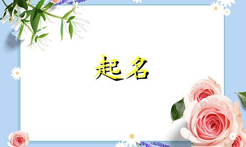 能起名的玩偶有哪些图片