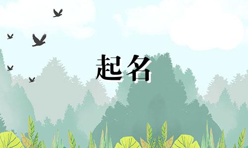 舞蹈室起名哪些字好听女生