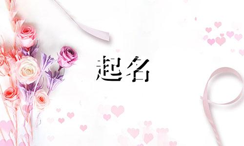 网店起名法律规定有哪些