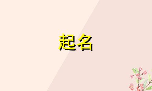 水兔年起名哪些字好男孩