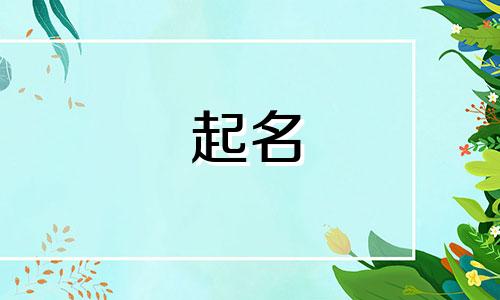 经典的诗词起名有哪些名字
