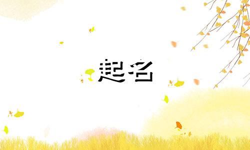 户外装置起名字有哪些