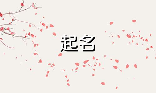 雅致的起名改名大师有哪些