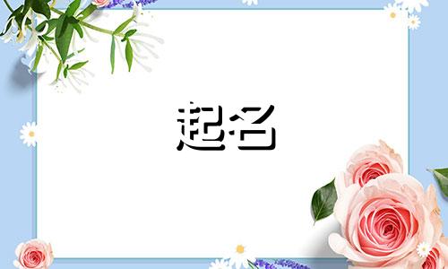 网名起名鬼才有哪些人呢