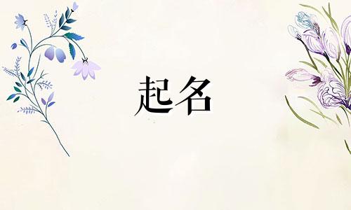 宋姓女孩起名有哪些名字