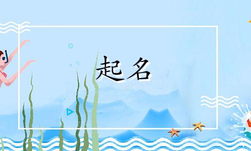 起名的高级说法有哪些呢