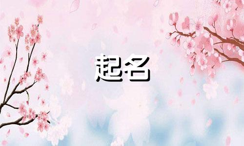 琳起名有哪些寓意好听男孩