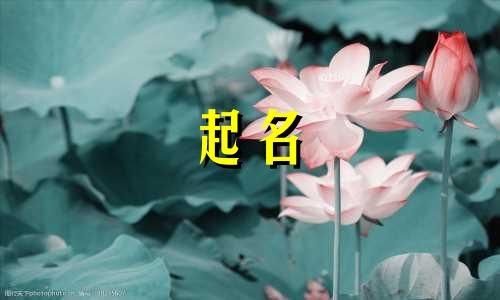姓氏起名带张的有哪些