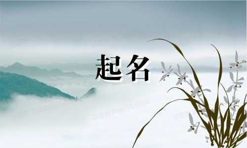 宝宝起名词语有哪些好听