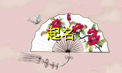 礼服起名设计理念有哪些