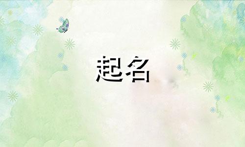 明星给宠物起名套路有哪些