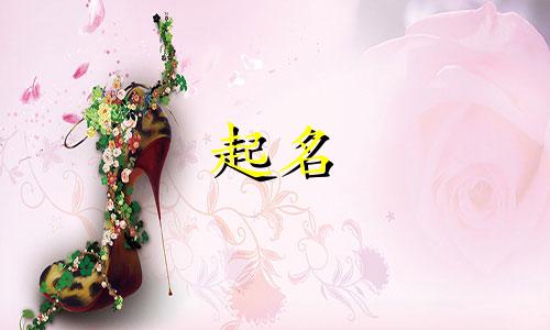 小狗起名响亮的名字有哪些
