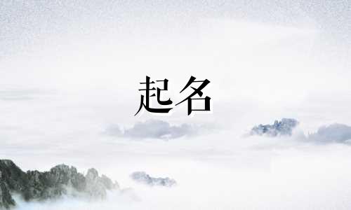 店铺名免费起名软件有哪些