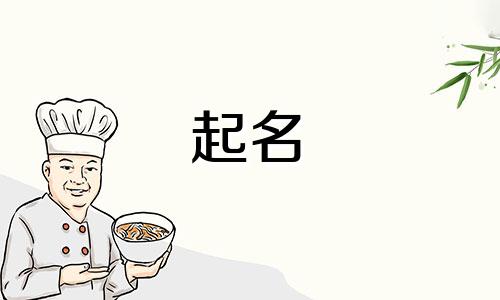 起名直播节目有哪些好听的