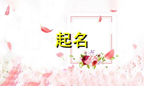 酒店起名小程序有哪些名字