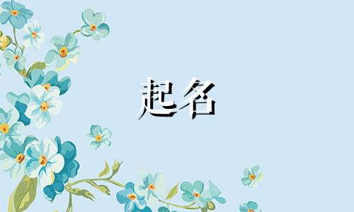 起名大气时尚女孩名字有哪些