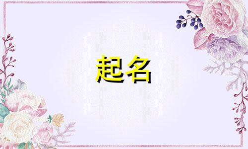 能起名的歌词有哪些歌