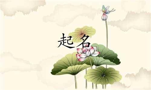 公司起名礼品类有哪些好听