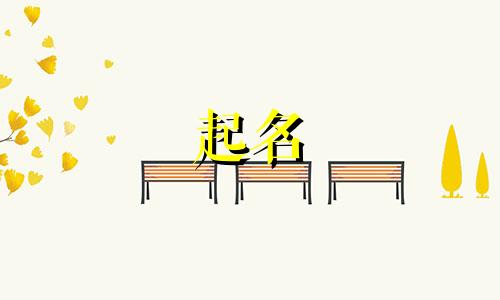 兰花店起名带哪些字招财