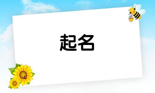 另类的起名改名公司有哪些