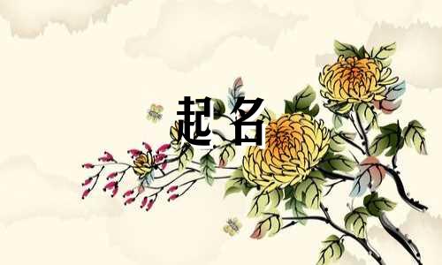 男宝宝奇字起名有哪些