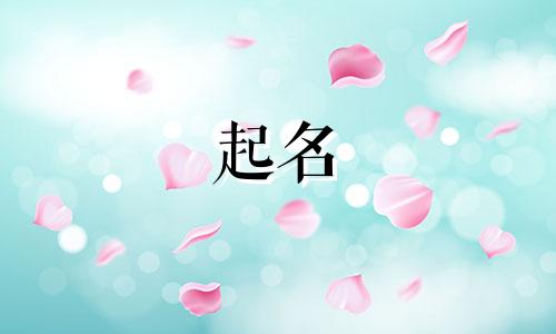 以中国起名的产品有哪些
