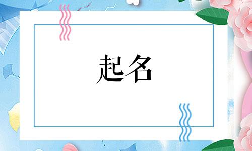 出自诗词的起名软件有哪些