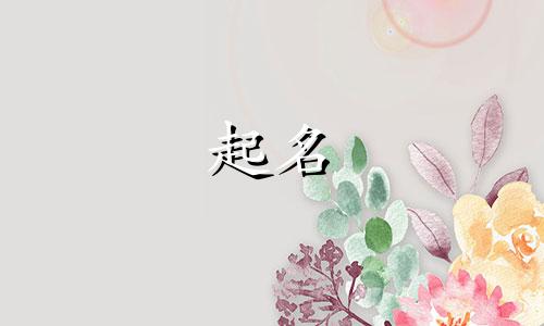 如何给宝宝起名软件有哪些