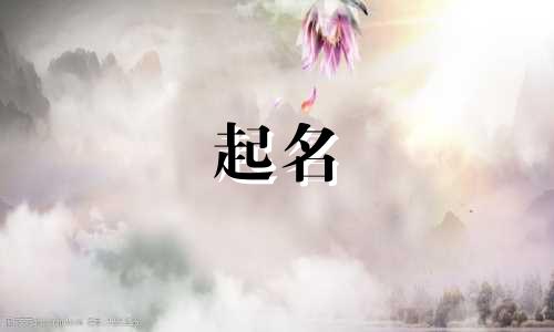 车标的起名来源有哪些英文