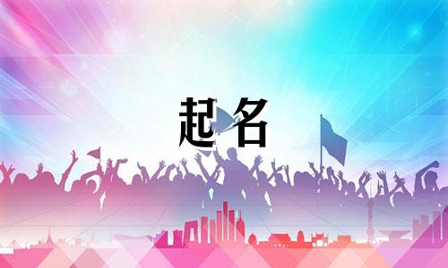 起名网站软件有哪些名字
