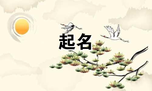 娱乐主播起名软件有哪些